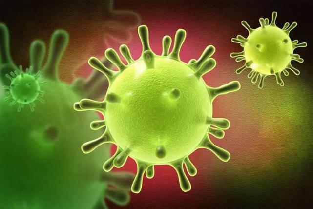 新冠病毒在物体上能存活多长时间 2023年疫情会不会严重