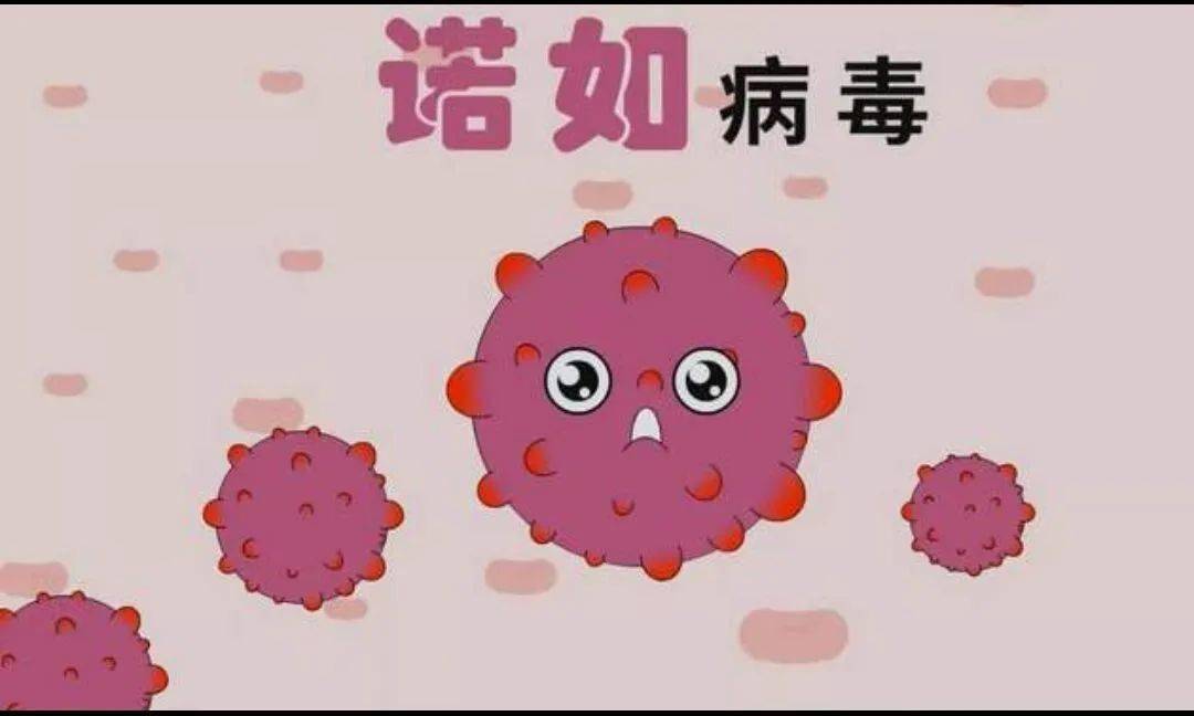 诺如病毒会死人吗 2023年诺如病毒会爆发吗